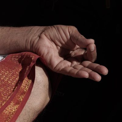 Close-up of hands in a graceful mudra position.